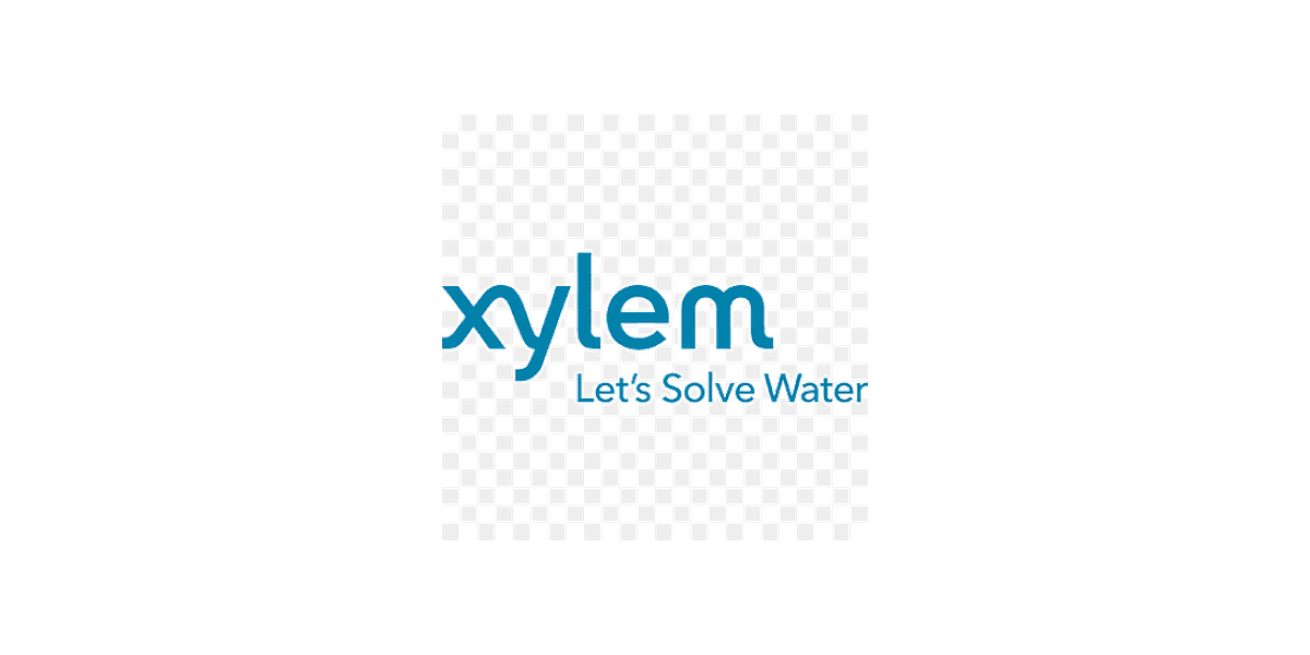 xylem